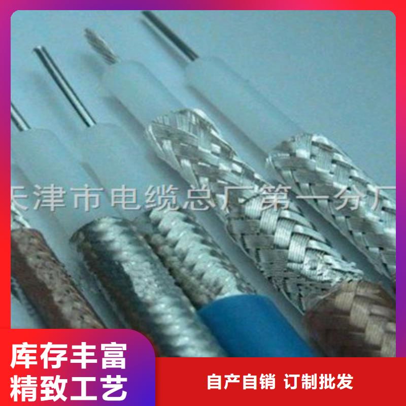 阻燃射频同轴电缆ZR-SYV重信誉厂家优选货源