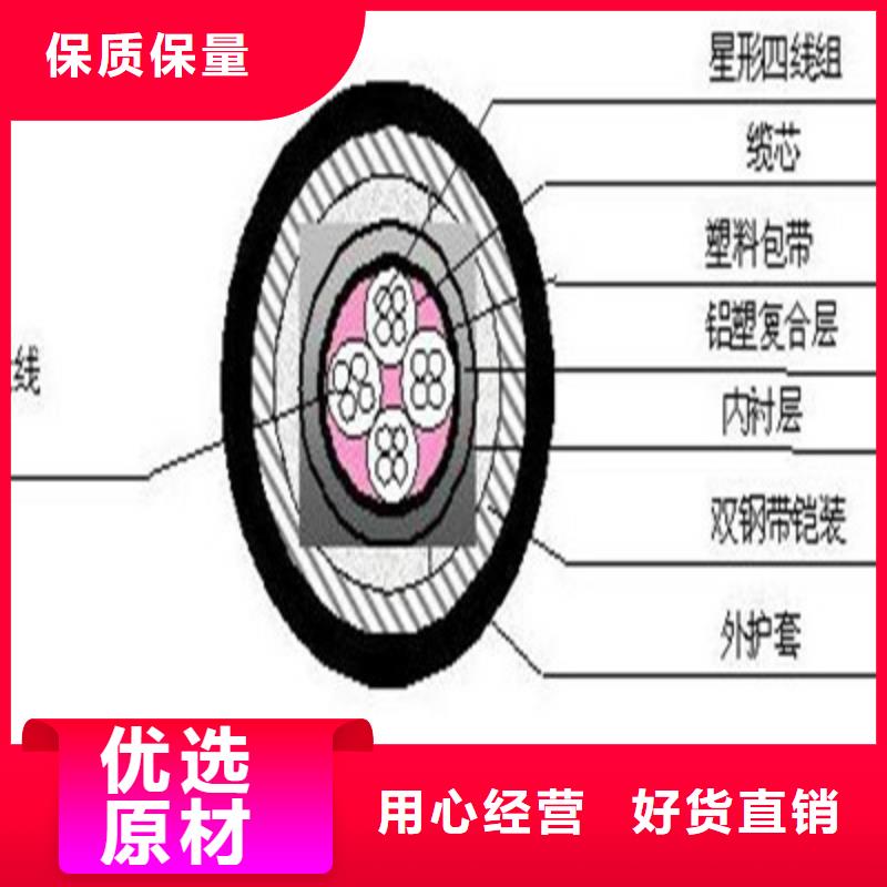 WDZ-PTYALH23铝护套铁路信号电缆采购产地厂家直销