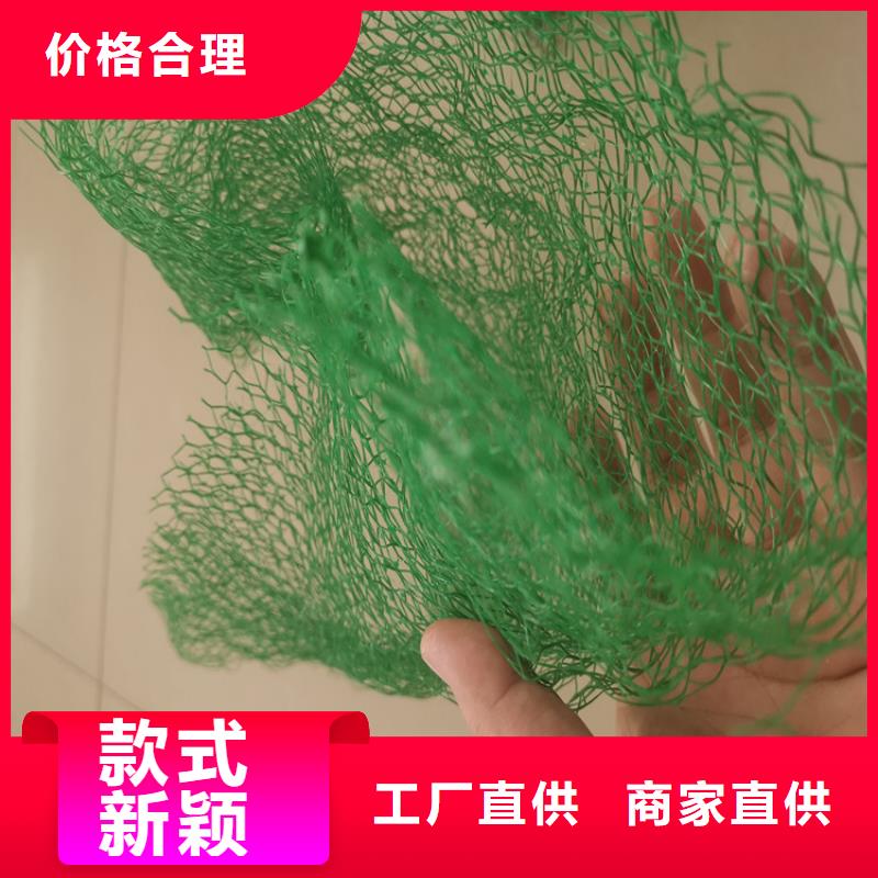 三维土工网垫加筋EM2同城品牌