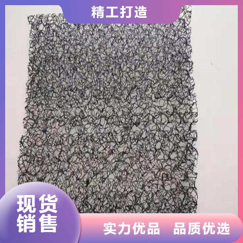 甘肃陇南三维水土保护毯三维防侵蚀柔性生态