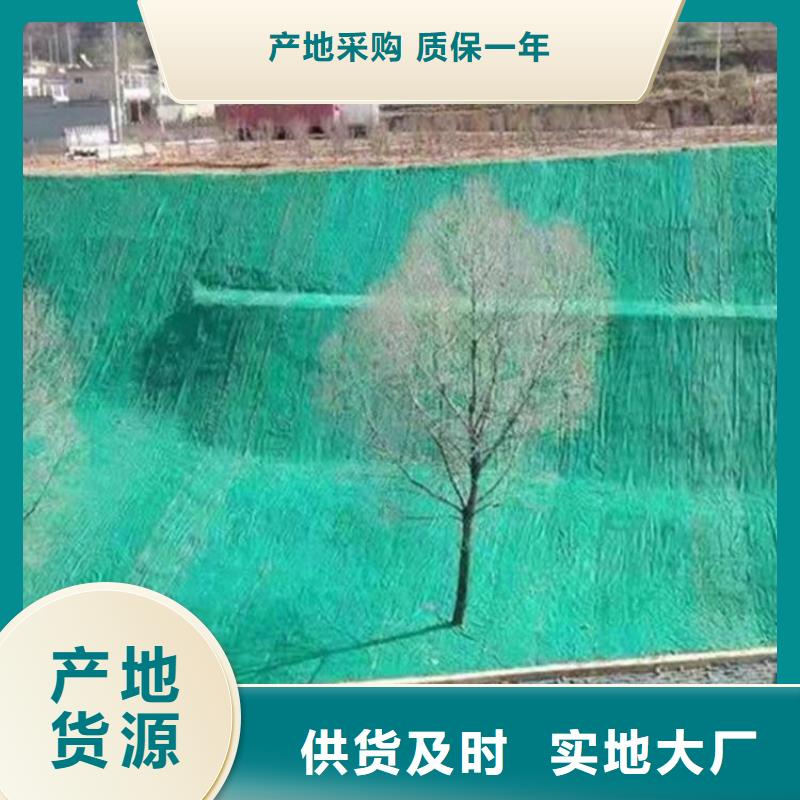 椰丝毯膨润土防水毯工厂现货供应当地厂家