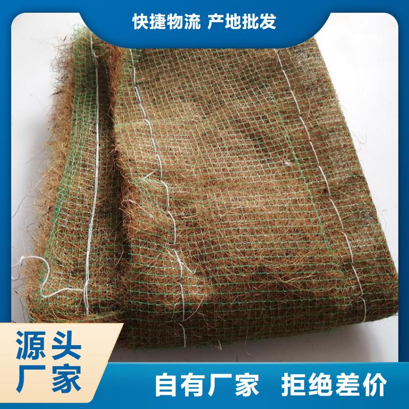 环保草毯麻椰固土毯本地生产商