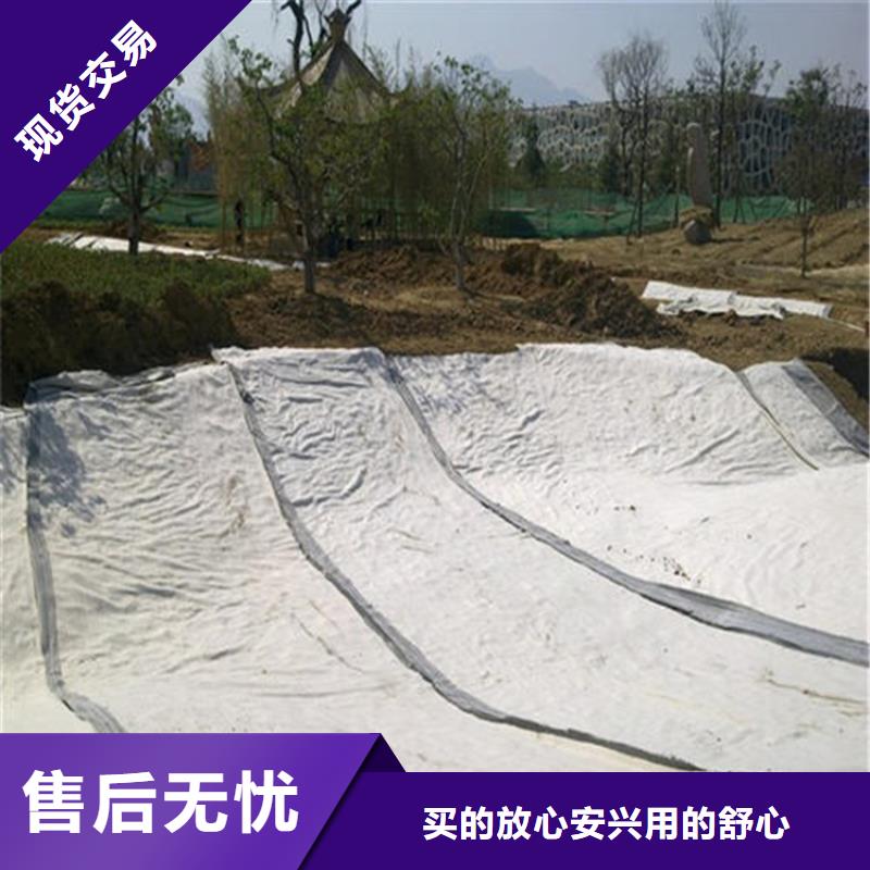 驻马店人工水系膨润土防水垫GCL