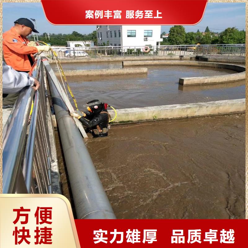 水下工程师动物价格优浪淘沙潜水员承接