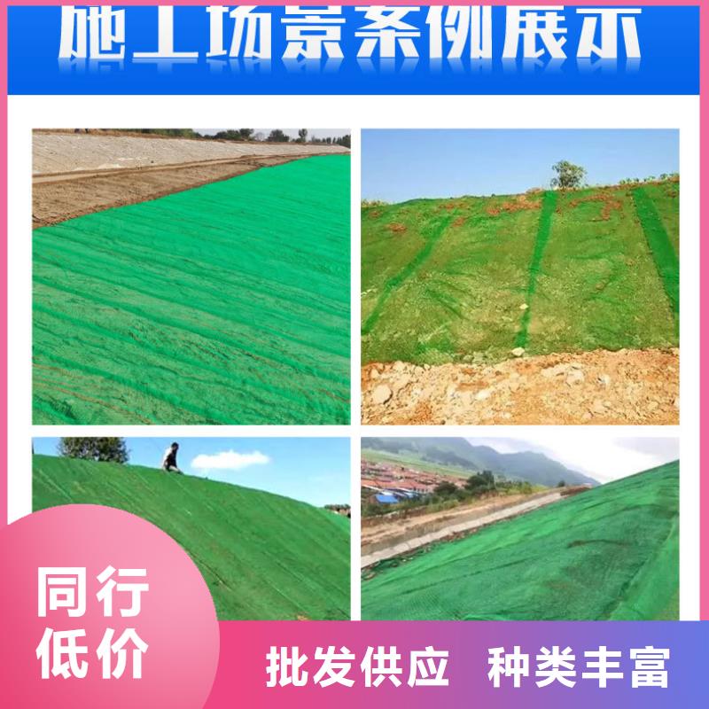 三维植被网软式透水管质检合格出厂同城货源