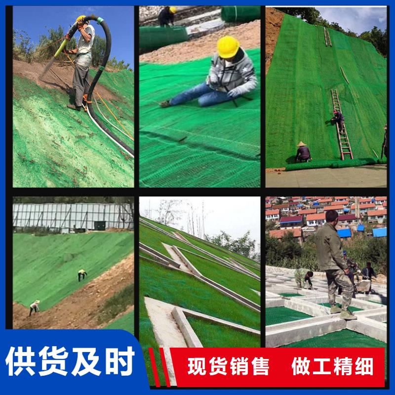 三维植被网沥青麻絮出货及时匠心打造