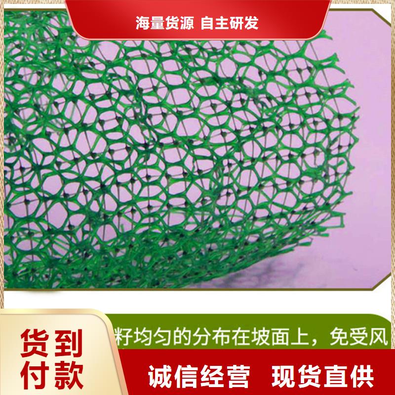 三维植被网塑料盲管追求细节品质性价比高