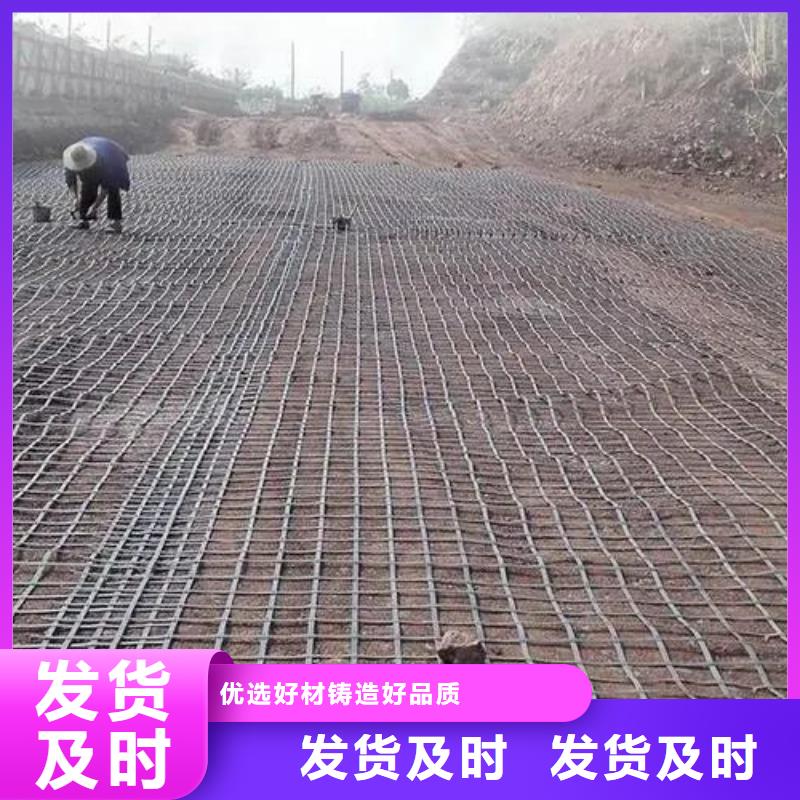 钢塑格栅、钢塑格栅厂家-质量保证同城厂家
