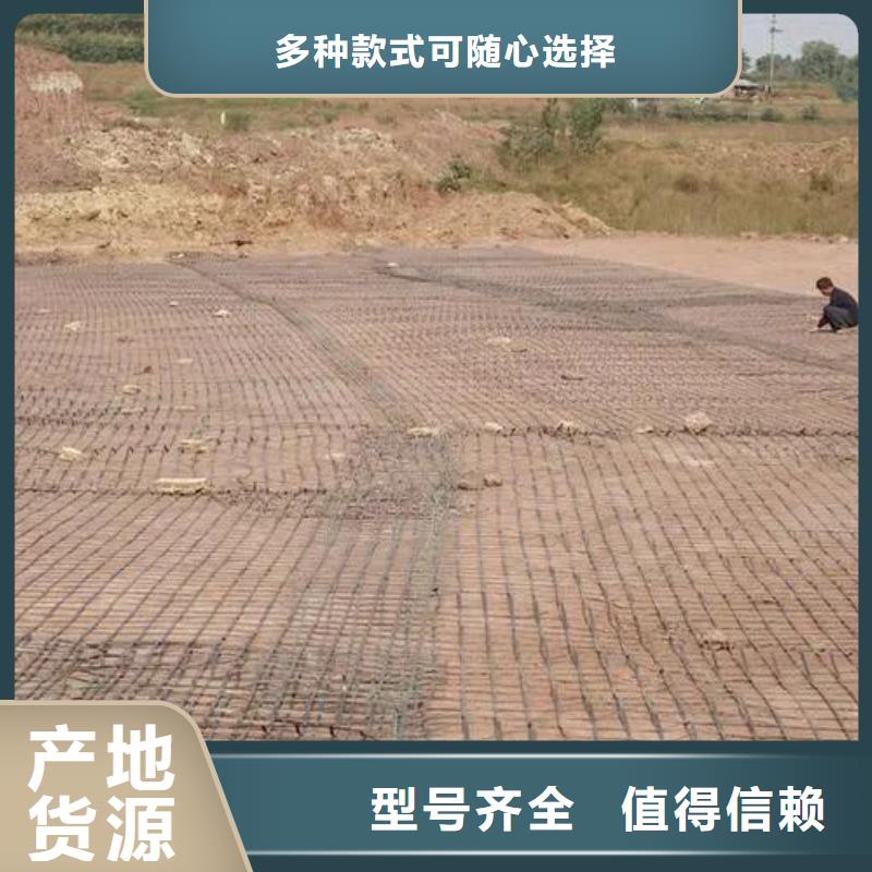 土工格栅施工图片资质齐全大量现货供应