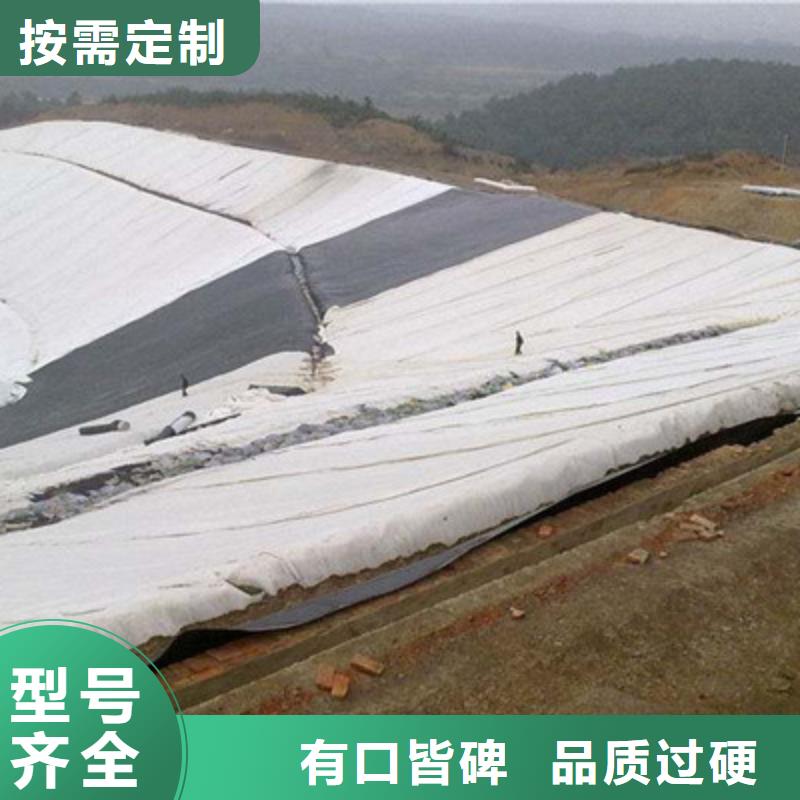 【土工布聚丙烯纤维诚信为本】懂您所需