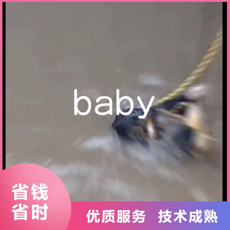 水下堵漏_【水下清障】放心之选放心之选