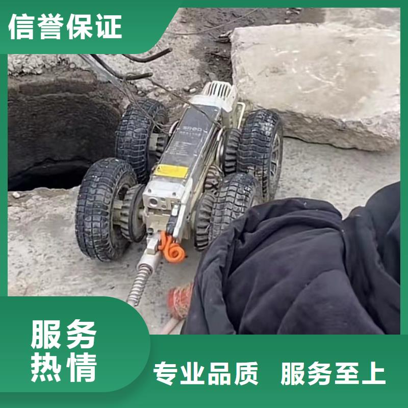 西藏潛水員封堵氣囊大廠家售后無憂