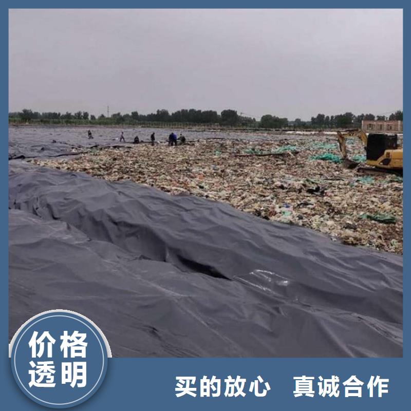 土工膜【玻纤土工格栅】定金锁价本地生产商