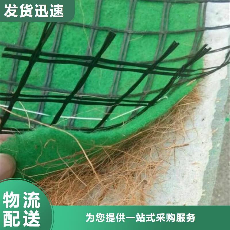 植生椰丝毯护坡植被植草毯本地厂家