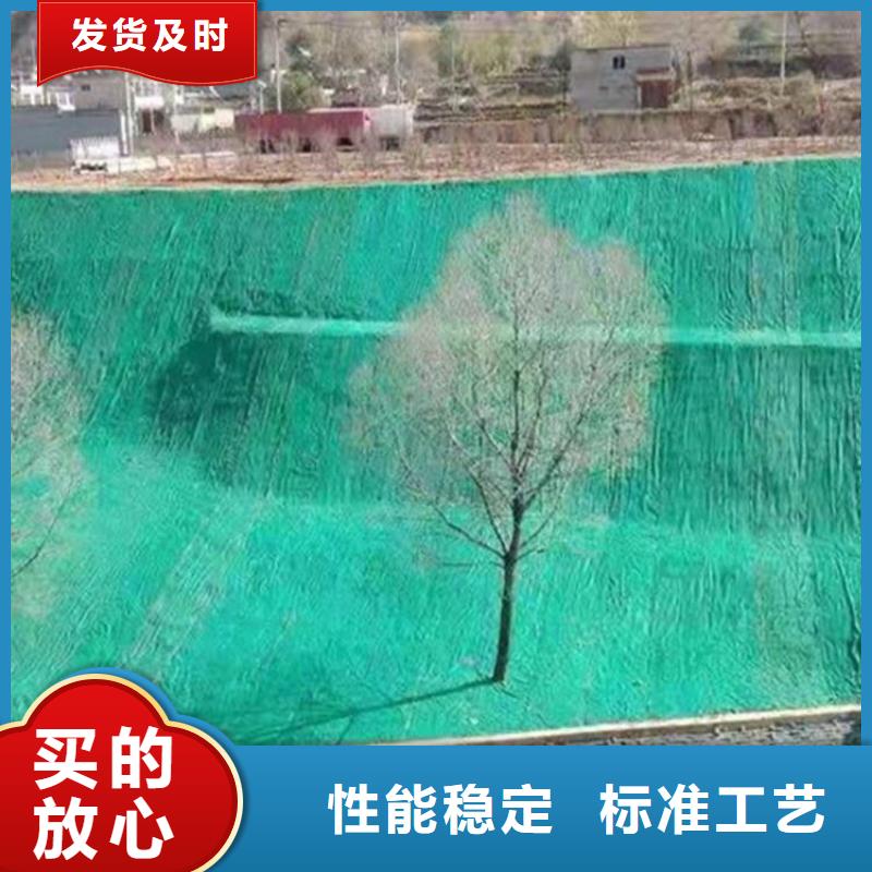 椰纤植生毯加筋抗冲生物毯本地经销商