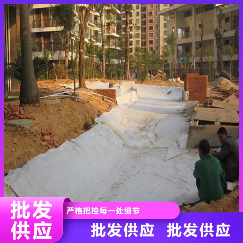 膨润土防水毯-土工格栅价格地道免费回电