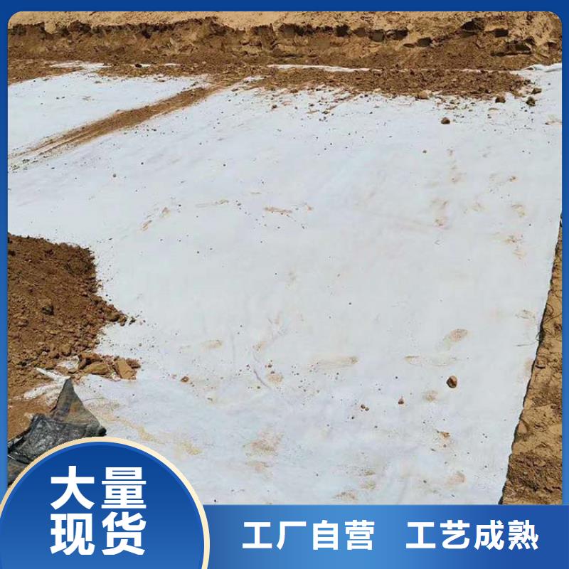 膨润土防水毯_【生态带】使用寿命长久免费回电