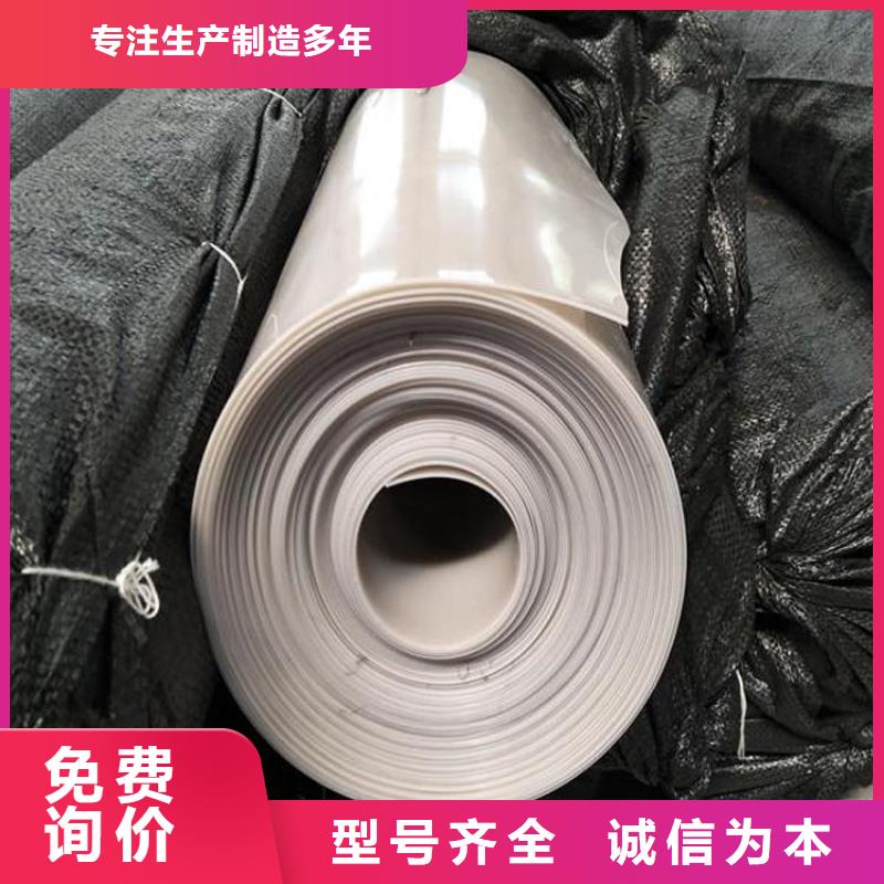 防水板生态带超产品在细节当地生产厂家