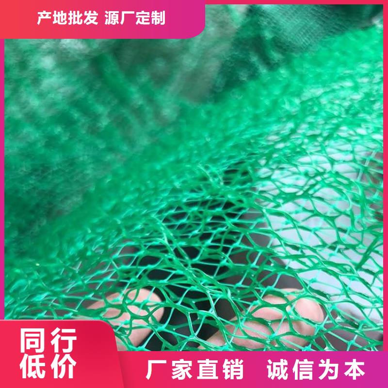 三维植被网供应经销用品质说话