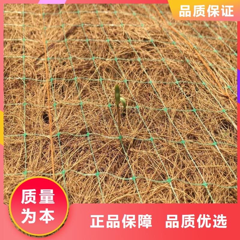 植物纤维毯-生态环保草毯多种检测本地厂家