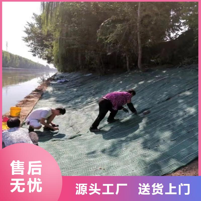 抗冲加筋生态毯出厂价格可定制有保障