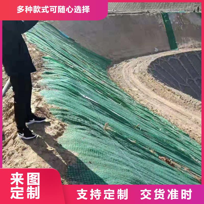 植生椰丝毯-加筋抗冲生态毯质量优价格低