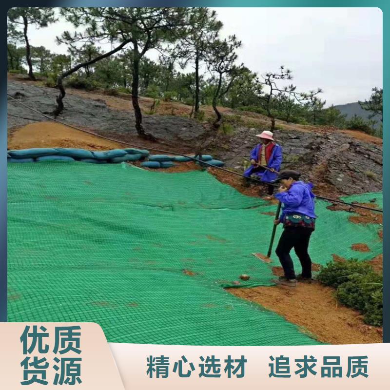 加筋抗冲生态毯-生态环保草毯-麻椰固土垫严选用料