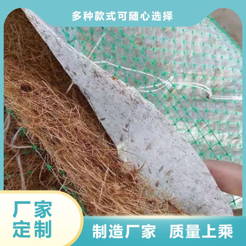 植物生态防护毯-加筋抗冲生物毯当地服务商