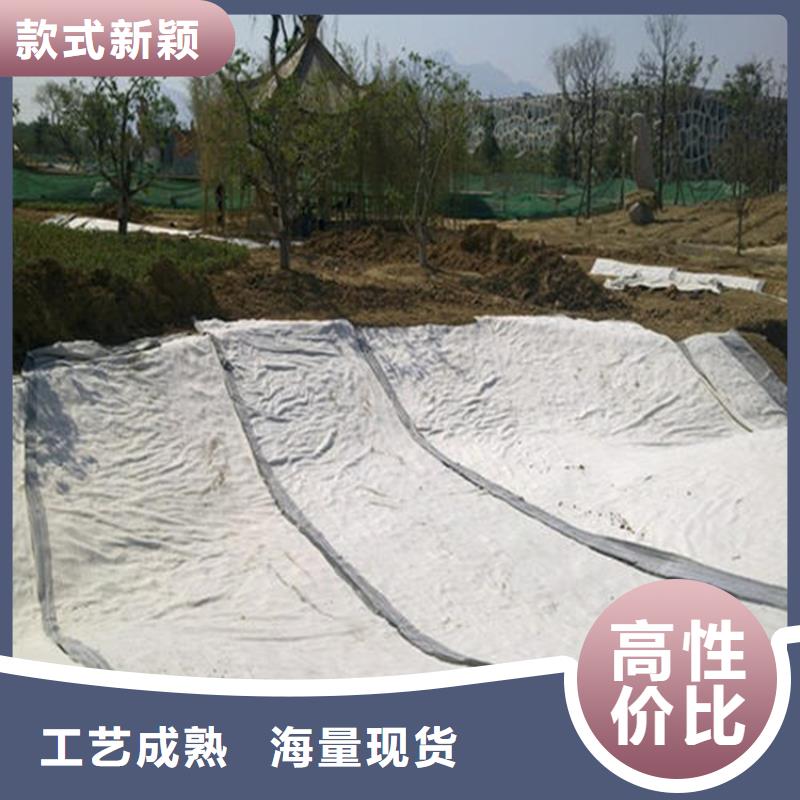膨潤土防水毯HDPE土工膜現貨充足同城經銷商