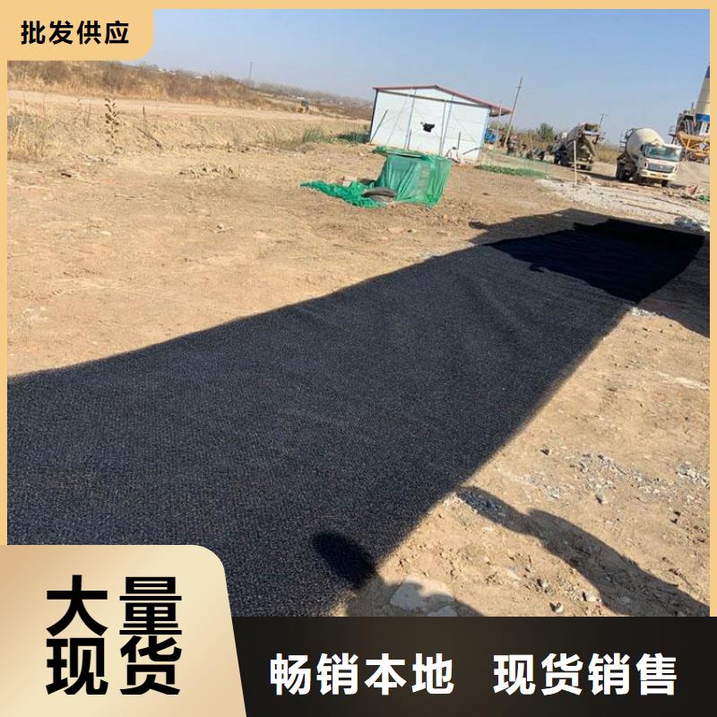 【水土保护毯】,钢塑土工格栅出厂严格质检质量无忧