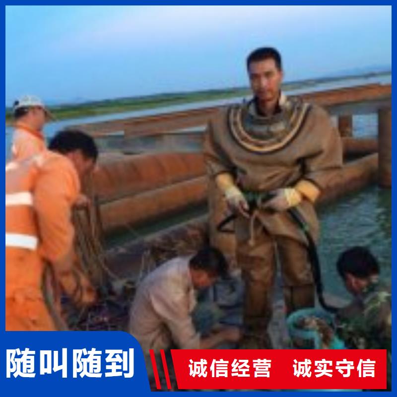 潜水蛙人作业公司免费咨询蛟龙潜水公司本地服务商