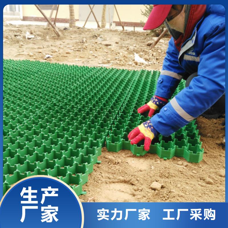 塑料植草格常用指南当地品牌