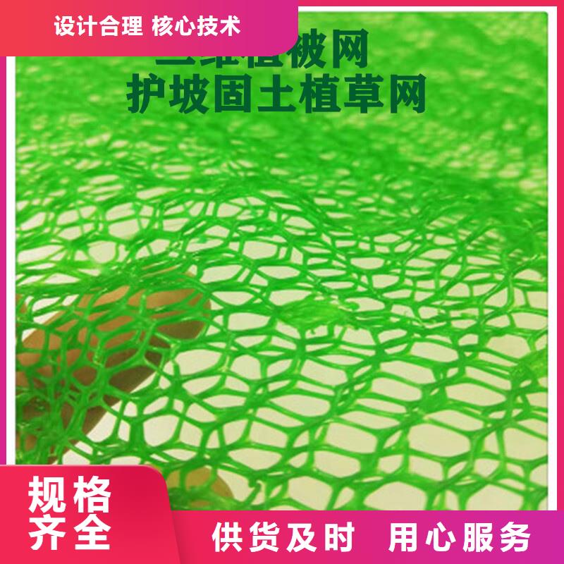 【三维植被网_防护虹吸排水收集系统精工制作】多家仓库发货