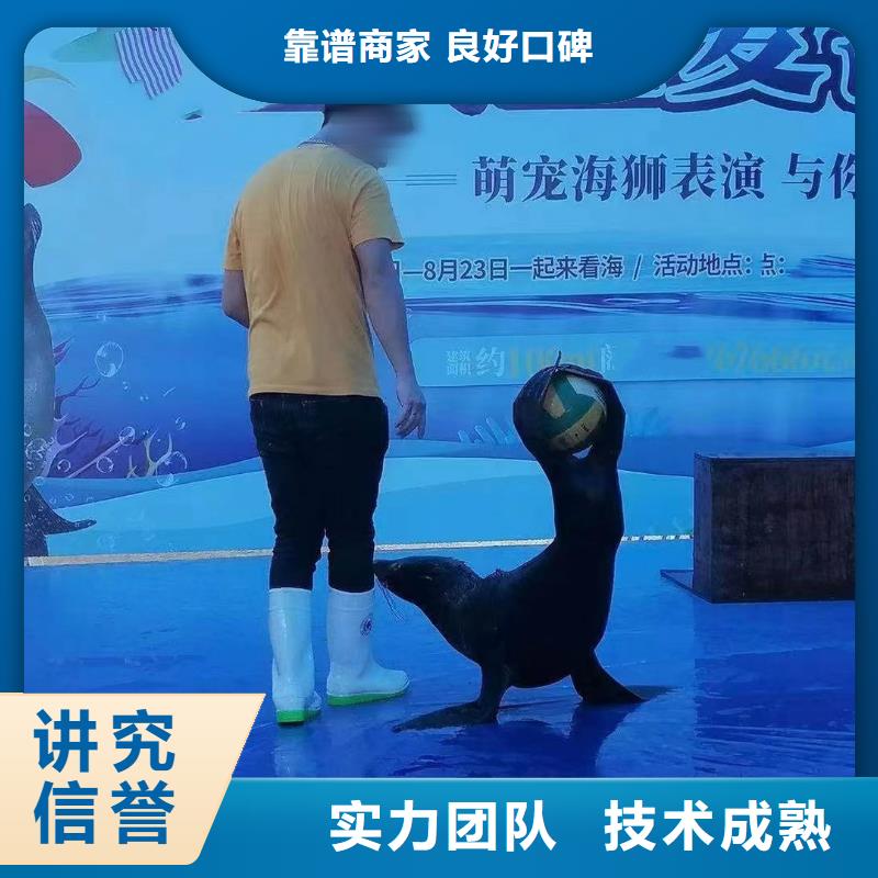 海洋生物展出租产品规格介绍品质好