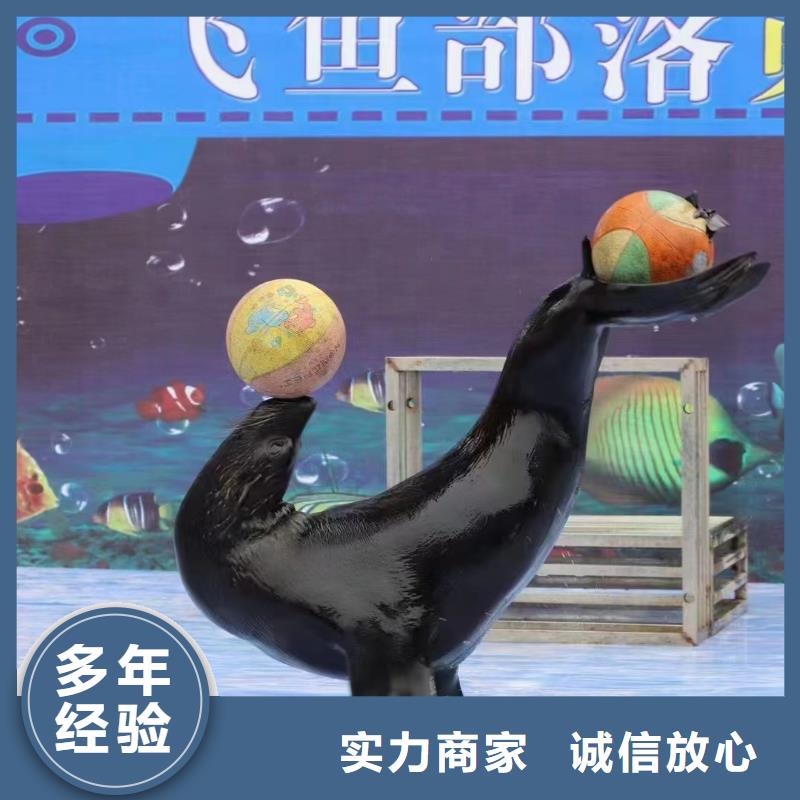 哪有出租海洋展的免费资源快速