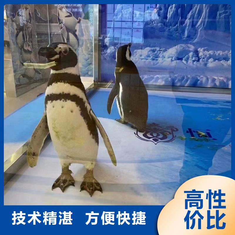 海洋生物展租赁全国承接技术成熟