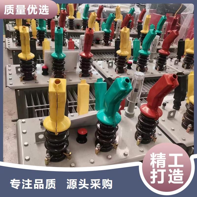 儋州市变压器厂家SH15-125KVA10/0.4KV非晶合金油浸式变压器价格同城制造商