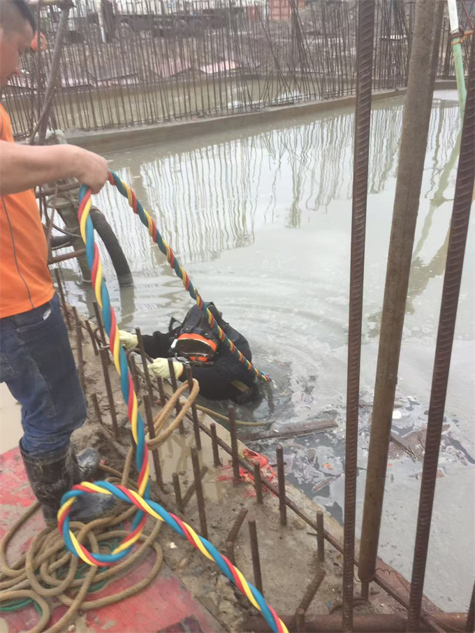 水库大坝堵漏维修经验丰富