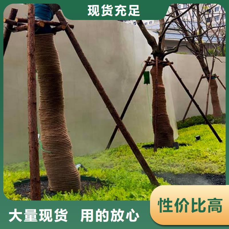 水泥漆-雅晶石全新升级品质保障追求品质