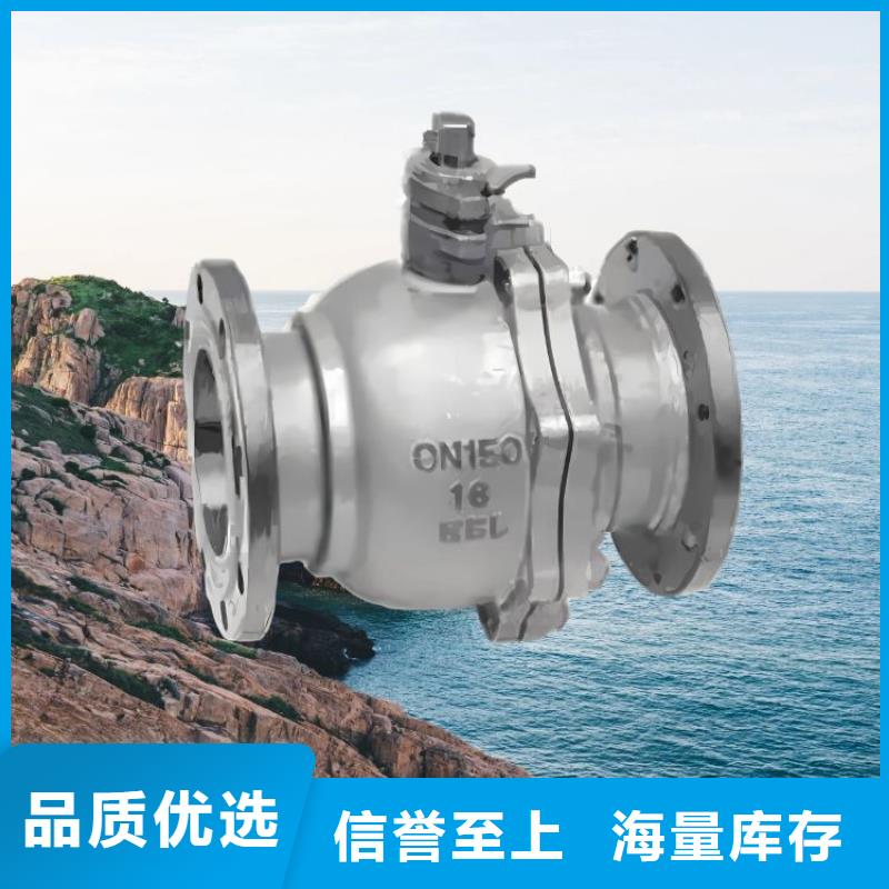 水力控制阀,止回阀多年行业积累本地品牌