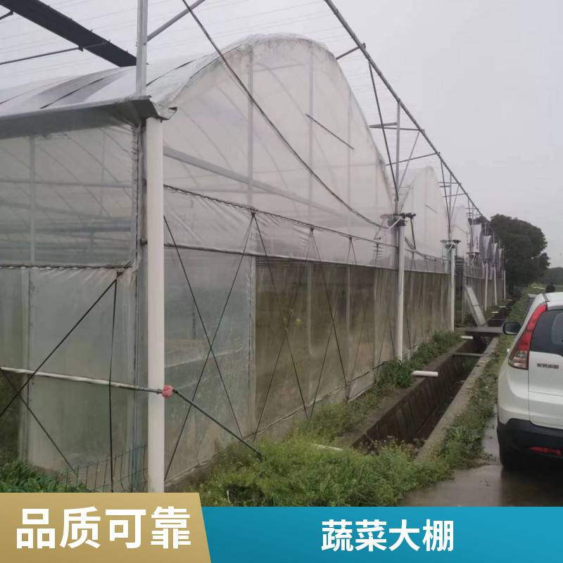 全州县葡萄避雨大棚的设计【修饰词附近服务商