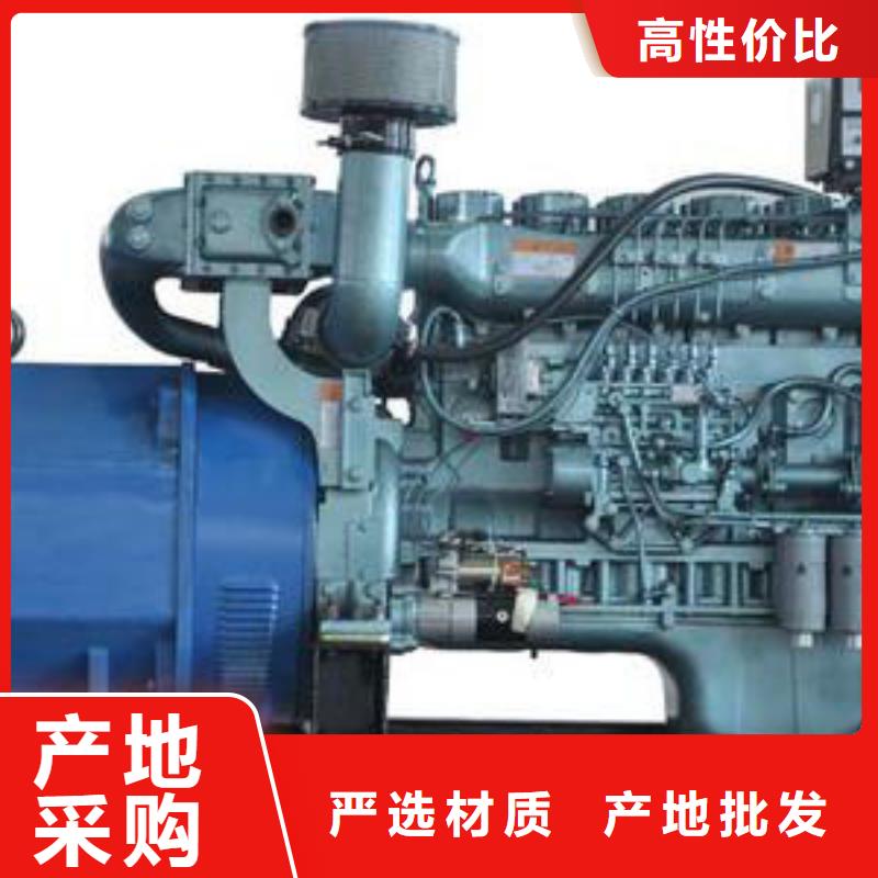 100-2000千瓦發電機租賃國有企業物有所值產地工廠
