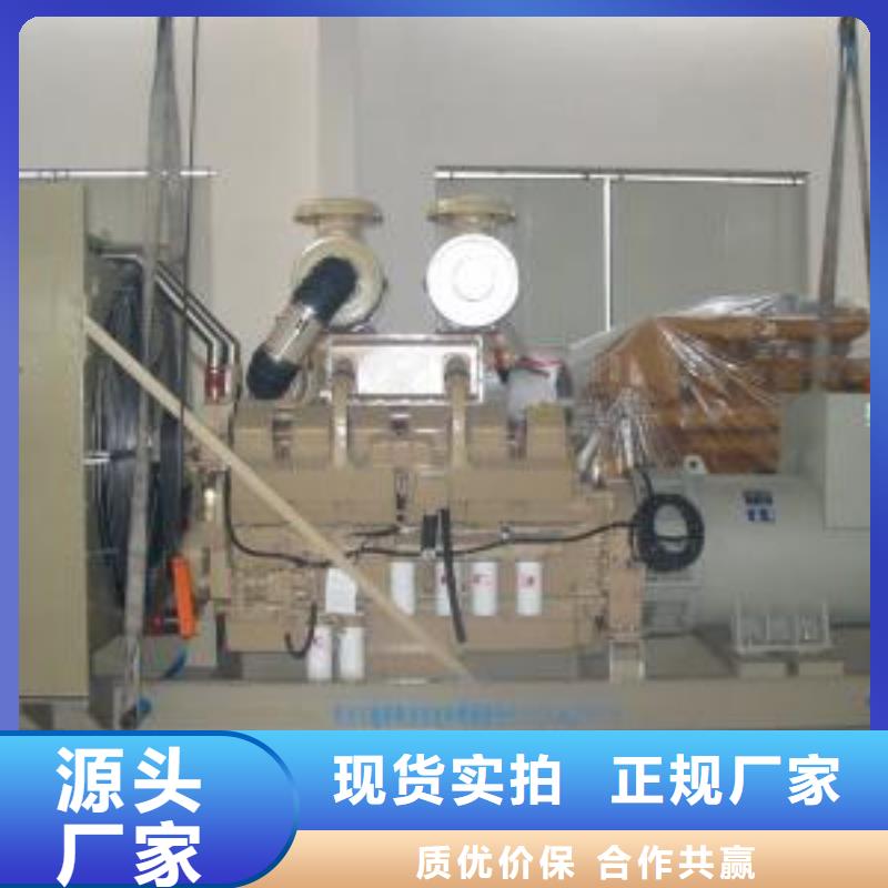 專用發電機租賃百強企業技術領先一站式采購