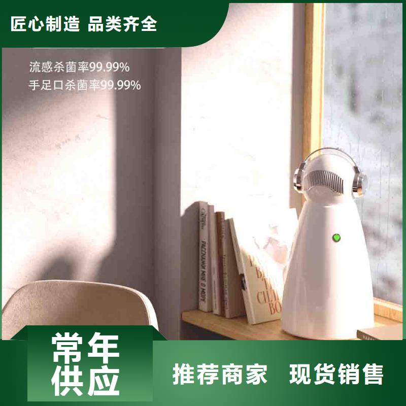 【小白婴儿空气守护机-车载空气净化器厂家货源稳定】厂家精选