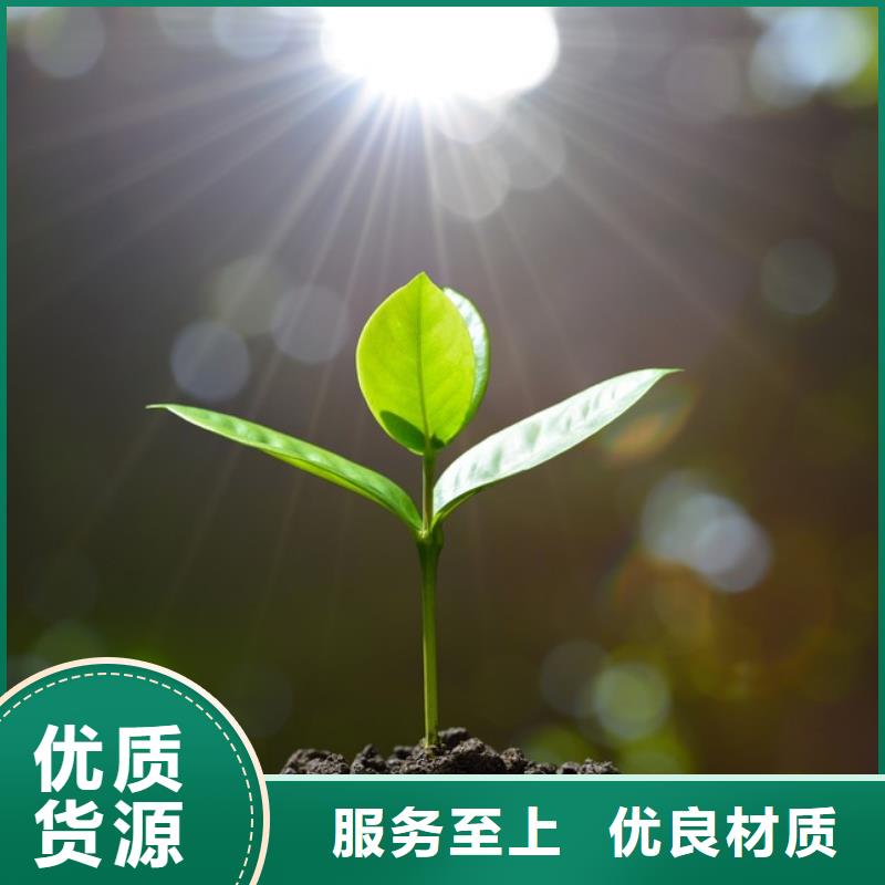 济南菏泽濮阳晒干鸡粪确实实惠附近公司