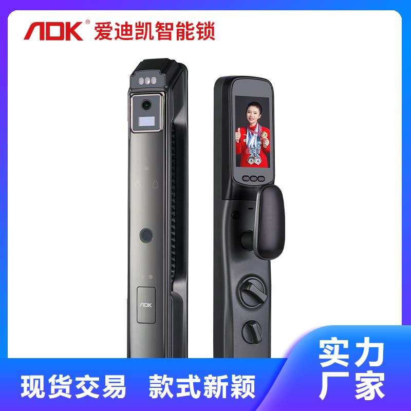 人脸识别智能锁质量厂家新品