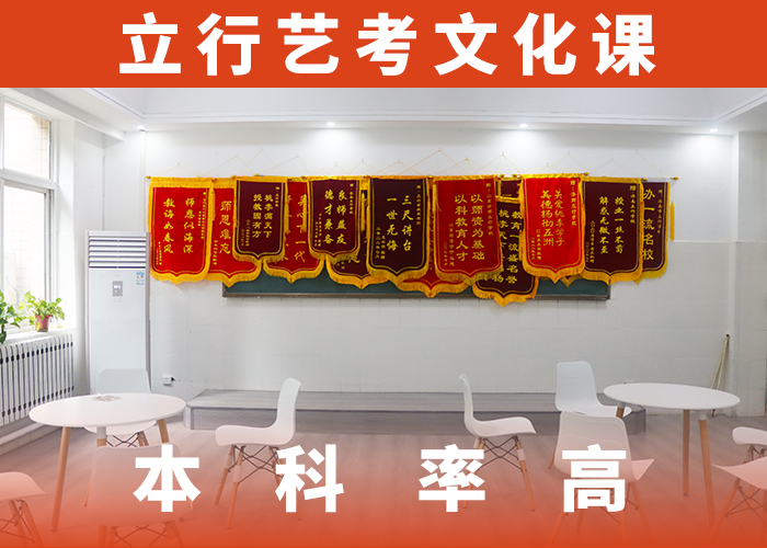 藝考生文化課藝考一對一教學手把手教學