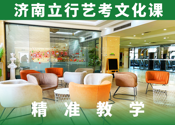 艺考文化课艺考生一对一补习学真技术