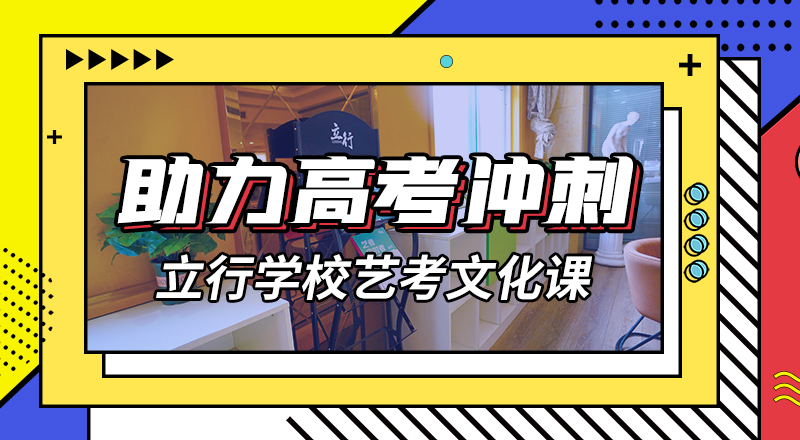 艺考生文化课冲刺高考复读周六班理论+实操