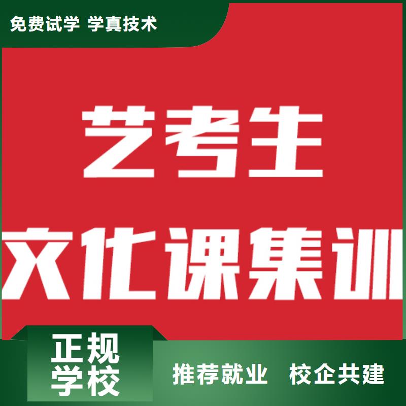 艺术生文化课补习机构有几所学校靠谱吗？实操教学